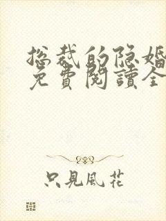 总裁的隐婚罪妻免费阅读全文