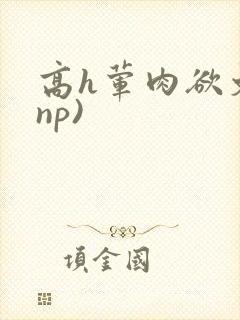 高h荤肉欲文(np)