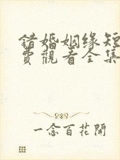 错婚姻缘短剧免费观看全集高清版