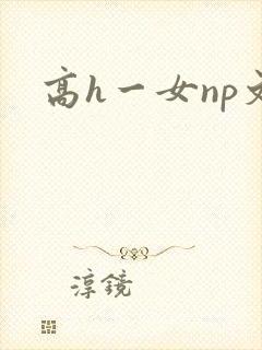高h一女np文