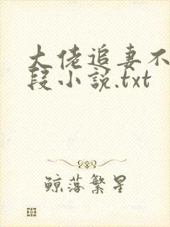 大佬追妻不择手段小说.txt