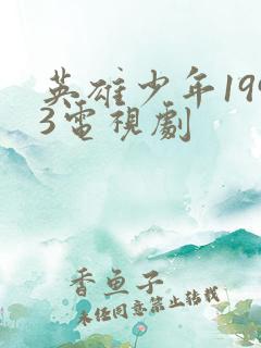 英雄少年1993电视剧