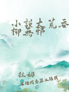 小说大荒吞天诀柳无邪