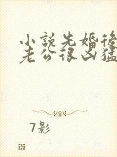 小说先婚后爱:老公很凶猛免费阅读