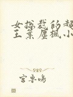 女总裁的超级兵王叶尘枫小说