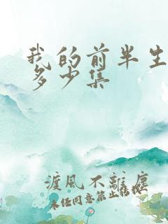 我的前半生总共多少集