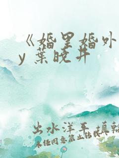 《婚里婚外》by 叶晓井