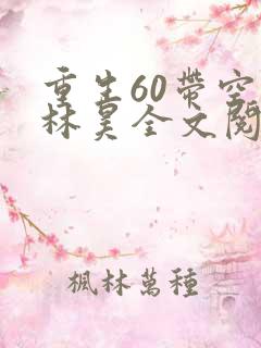 重生60带空间林昊全文阅读
