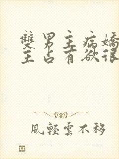 双男主病娇文男主占有欲很强小说