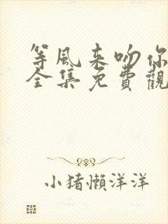 等风来吻你短剧全集免费观看