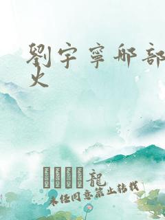 刘宇宁哪部剧最火