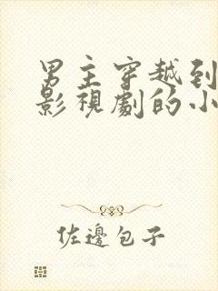 男主穿越到各种影视剧的小说