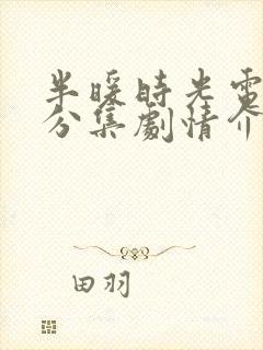 半暖时光电视剧分集剧情介绍