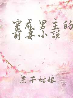 穿成男主的炮灰前妻小说