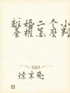 离婚二个小孩抚养权怎么判定