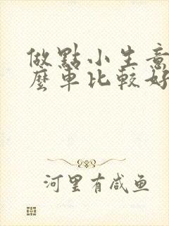 做点小生意买什么车比较好