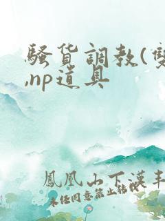 骚货调教(双性,np道具