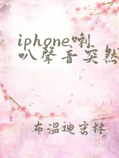 iphone喇叭声音突然变小了