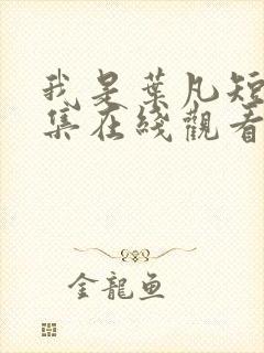 我是叶凡短剧全集在线观看