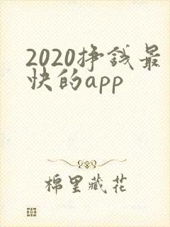 2020挣钱最快的app