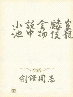 小说金麟岂是物池中物侯龙涛