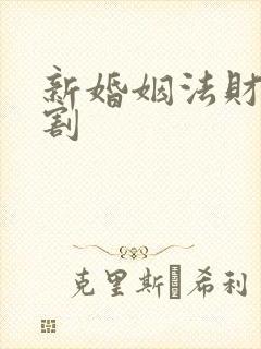 新婚姻法财产分割