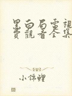 黑白局电视剧免费观看全集完整版