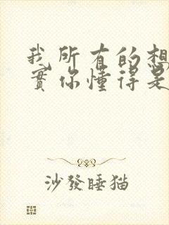 我所有的想法其实你懂得是什么歌