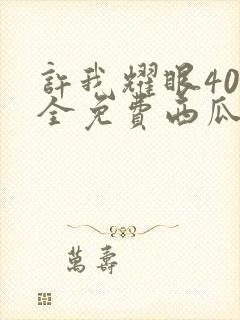 许我耀眼40集全免费西瓜播放