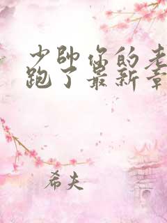 少帅你的老婆又跑了最新章节免费阅读