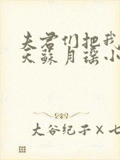 夫君们把我宠上天苏月瑶小说