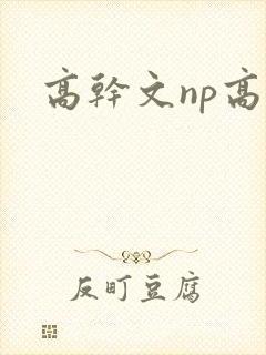 高干文np高h
