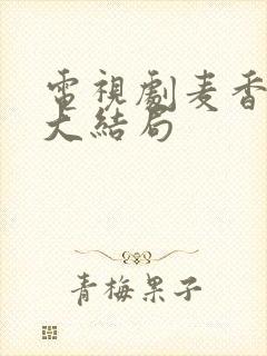 电视剧麦香金凤大结局