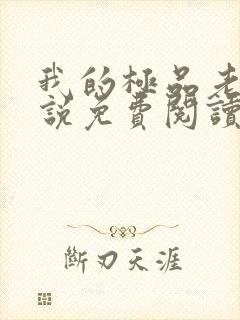 我的极品老婆小说免费阅读全文