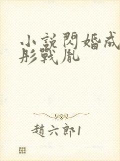 小说闪婚成宠海彤战胤