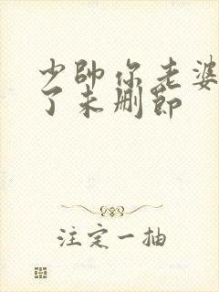 少帅你老婆又跑了未删节