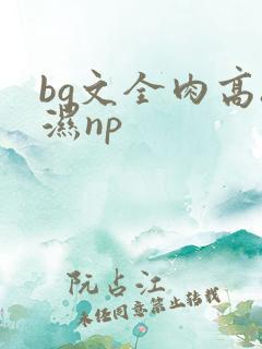 bg文全肉高h湿np
