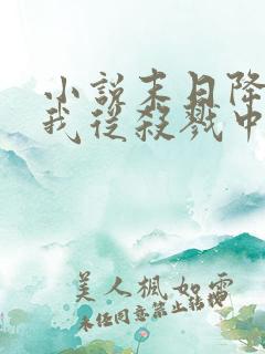 小说末日降临,我从杀戮中崛起免费阅读全本