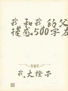 我和我的父辈观后感500字左右