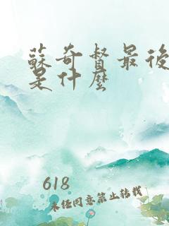 苏奇督最后结局是什么