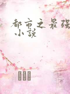 都市之最强狂兵 小说