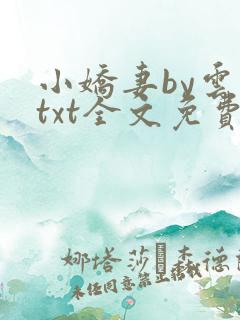 小娇妻by云间txt全文免费阅读