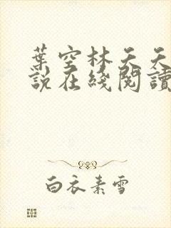 叶空林夭夭的小说在线阅读免费