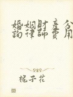 婚姻财产分割咨询律师费用