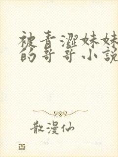 被青涩妹妹诱感的哥哥小说