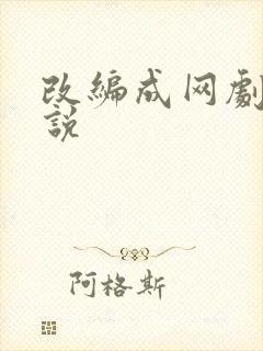 改编成网剧的小说