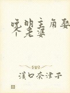 晚明主角娶了几个老婆