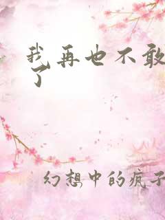 我再也不敢爱你了