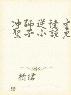 冲师逆徒才不是圣子小说免费观看