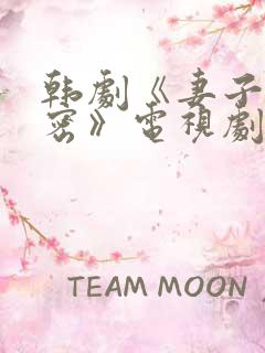 韩剧《妻子的秘密》电视剧全集